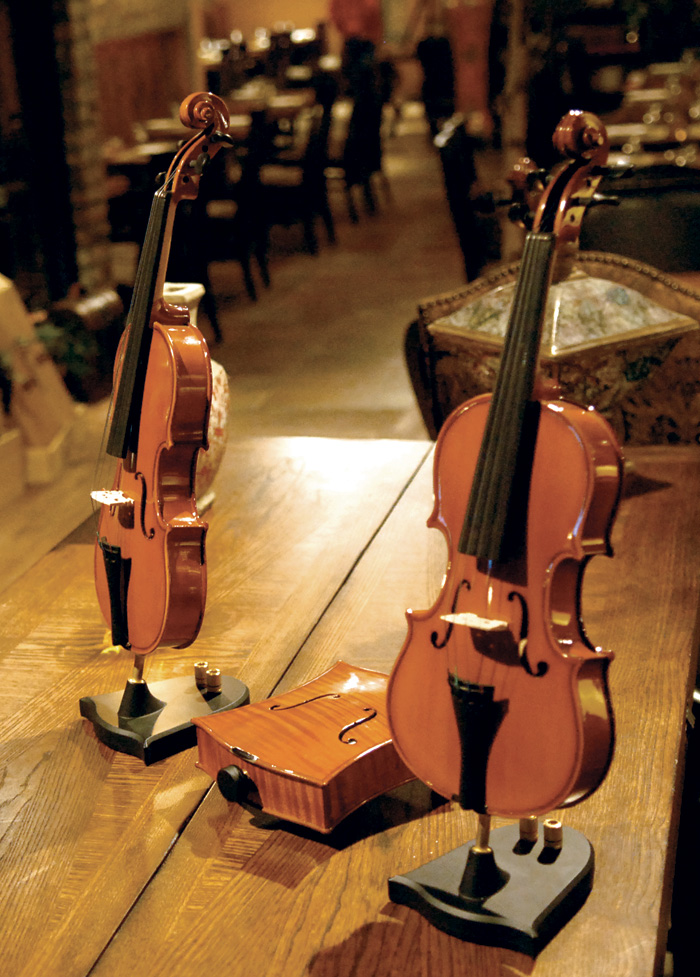sounger vin [violin speaker]